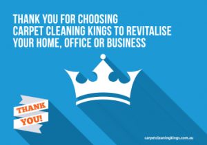 Backtobasics Communication Services - Carpet Cleaning Kings