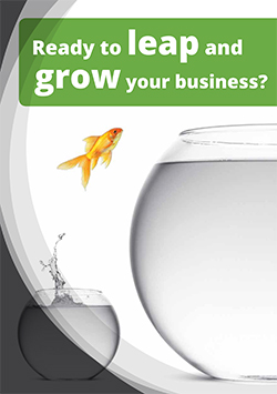 Backtobasics Communication Services - Leap and Grow
